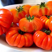 POMODORO COSTOLUTO FIORENTINO