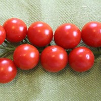 POMODORO CILIEGIA F1