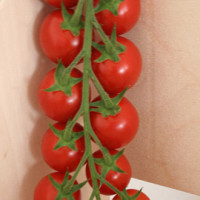 POMODORO CILIEGIA F1