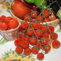 POMODORO CILIEGIA ZUCCHERO