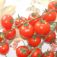 POMODORO CILIEGIA ZUCCHERO