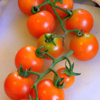 POMODORO CILIEGIA ZUCCHERO