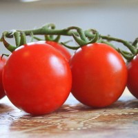 POMODORO CILIEGIA ZUCCHERO