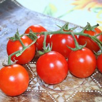 POMODORO CILIEGIA ZUCCHERO