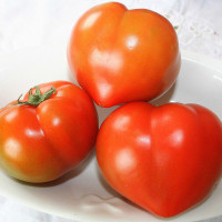 POMODORO CUOR DI BUE