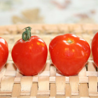 POMODORO FRAGOLINO