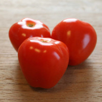 POMODORO FRAGOLINO