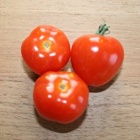 POMODORO FRAGOLINO