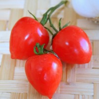 POMODORO FRAGOLINO