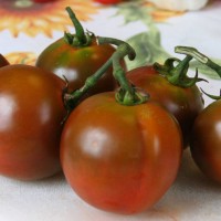 POMODORO NERO DI CRIMEA F1