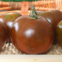 POMODORO NERO DI CRIMEA F1