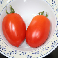 POMODORO KOKO