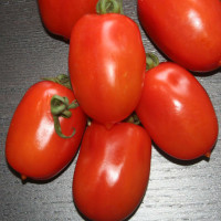 POMODORO PICCADILLY