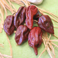 PEPERONCINO HABANERO CHOCOLATE