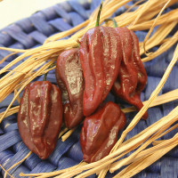 PEPERONCINO HABANERO CHOCOLATE