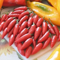 PEPERONCINO JALAPENO MESSICANO