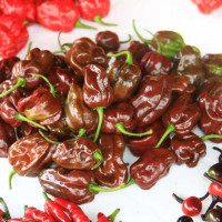 PEPERONCINO HABANERO CHOCOLATE