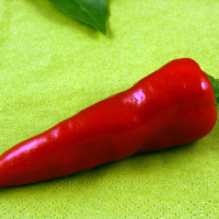 PEPERONCINO JALAPENO MESSICANO