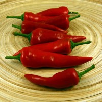 PEPERONCINO JALAPENO MESSICANO