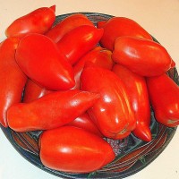 POMODORO MINI SAN MARZANO F1