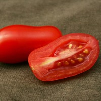 POMODORO MINI SAN MARZANO F1