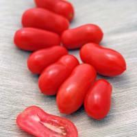 POMODORO MINI SAN MARZANO F1