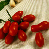 POMODORO MINI SAN MARZANO F1