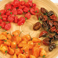 PEPERONCINO HABANERO MIX