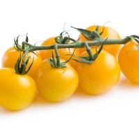 POMODORO CILIEGIA GIALLO F1