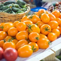 POMODORO DATTERINO GIALLO