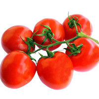 POMODORO FRAGOLINO