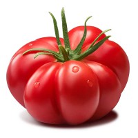 POMODORO MARMANDE